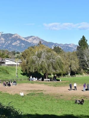 Tabano Hollow Open Space