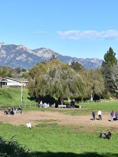 Tabano Hollow Open Space