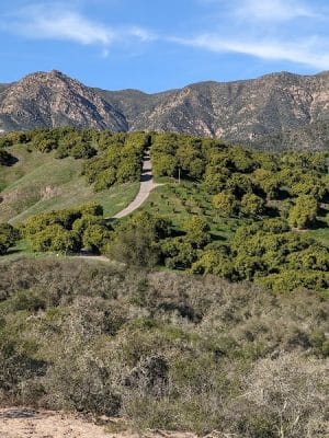 Toro Canyon Park