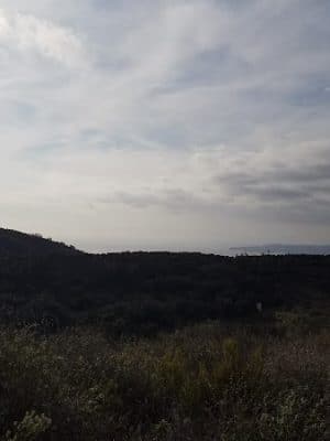 Toro Canyon Park
