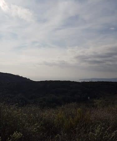 Toro Canyon Park