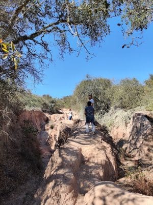 Toro Canyon Park