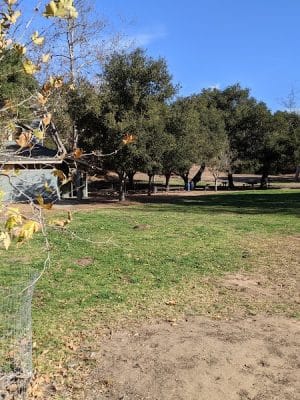 Tuckers Grove Park