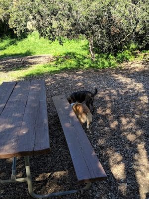 Tuckers Grove Park