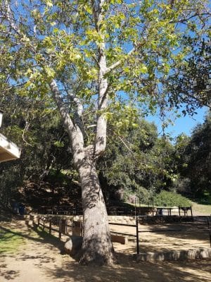 Tuckers Grove Park