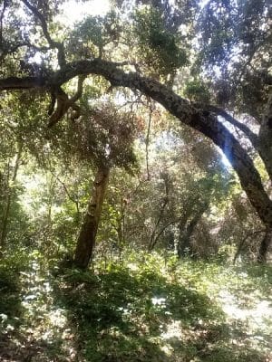 Tuckers Grove Park