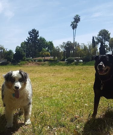 Univ Circle Open Space
