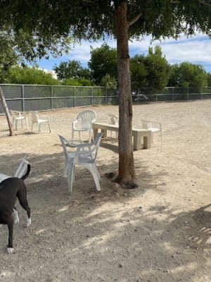 Canine Country Dog Park