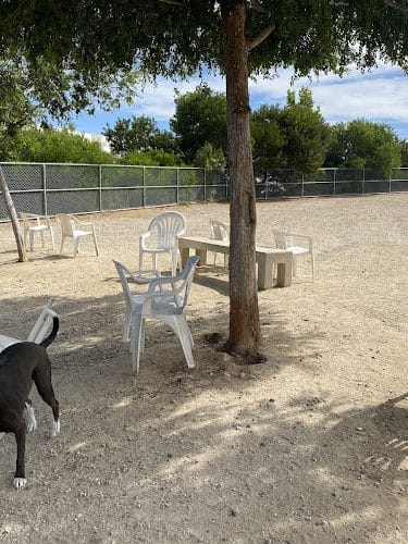 Canine Country Dog Park