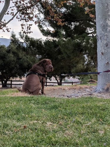 Canyon Country Park - Santa Clarita, CA