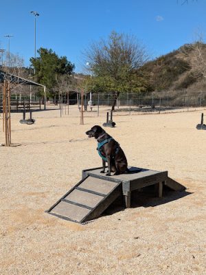 Central Bark Park