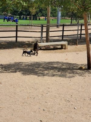 Central Park