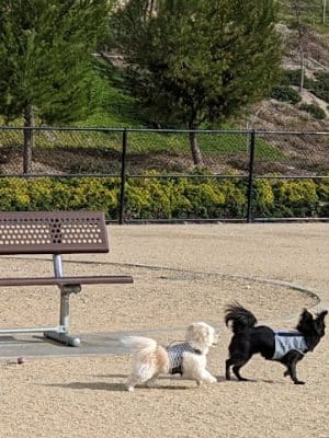 Golden Valley Park