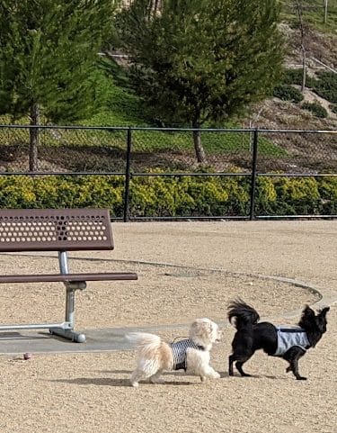 Golden Valley Park