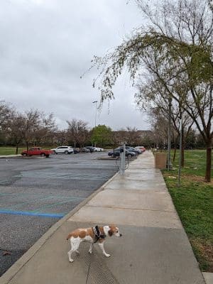 Valencia Heritage Park