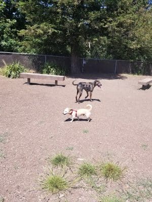 Hilliard Comstock Northwest Community Dog Park