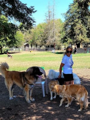 Rincon Valley Community Dog Park