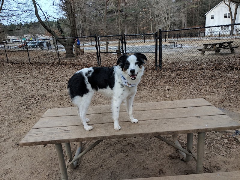 Saratoga Springs Dog Park - Saratoga Springs, NY