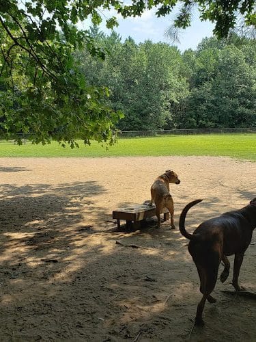 Saratoga Springs Dog Park