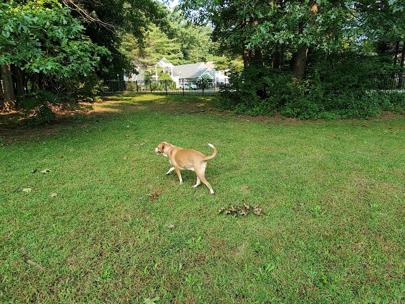 Saratoga Springs Dog Park - Saratoga Springs, NY