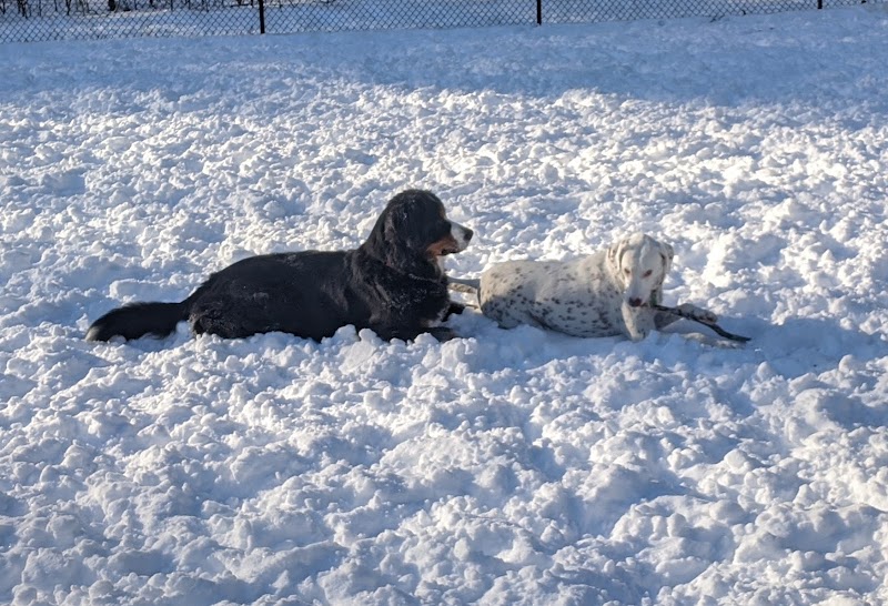 Saratoga Springs Dog Park - Saratoga Springs, NY