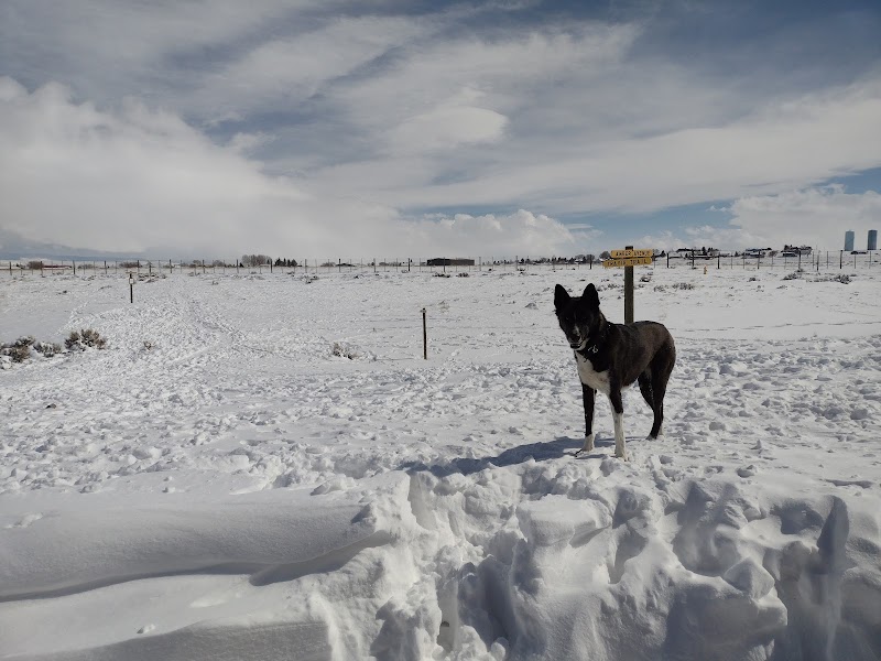 Saratoga dog park - Saratoga, WY