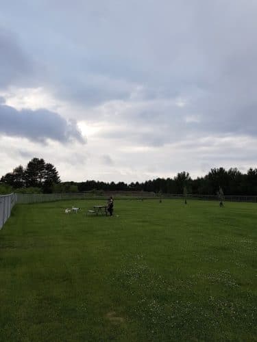 Sartell Dog Park