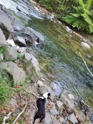 Patuxent Branch Trail