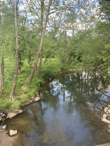 Patuxent Branch Trail