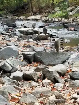 Patuxent Branch Trail