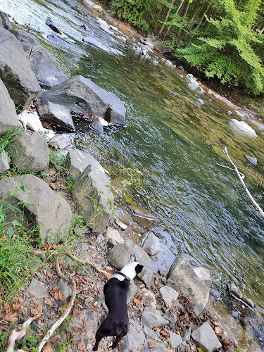 Patuxent Branch Trail