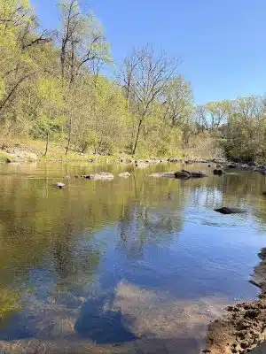 Savage Mill Trail