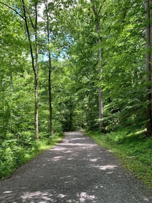 Savage Mill Trail