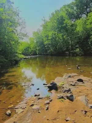 Savage Mill Trail
