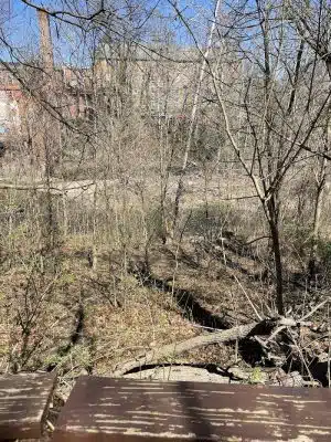 Savage Mill Trail