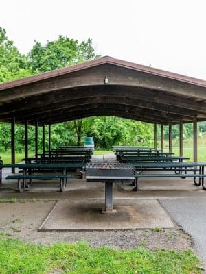 Savage Park