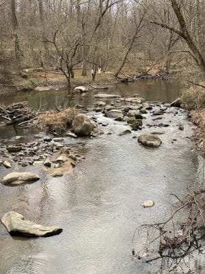 Savage Park