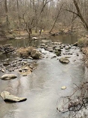 Savage Park
