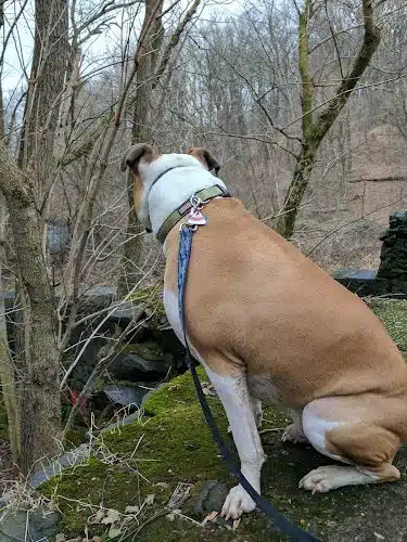 Savage Park