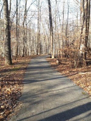 Savage Park