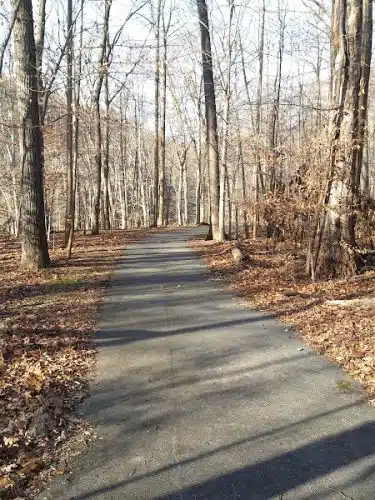 Savage Park