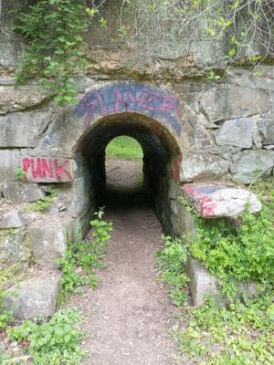 Savage Park