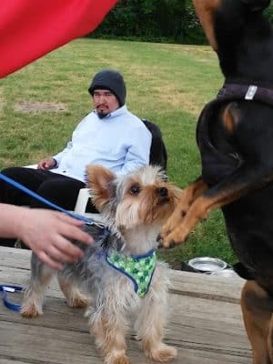 Savage Dog Park