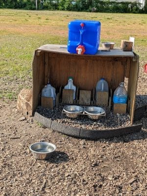 Savage Dog Park