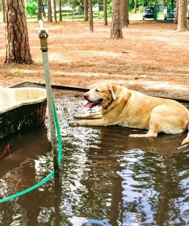 Herty Pines Dog Park - Savannah, GA