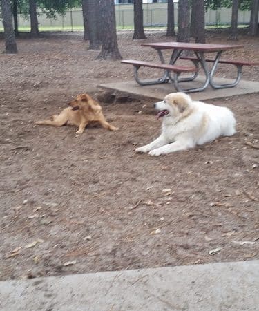 Herty Pines Dog Park - Savannah, GA
