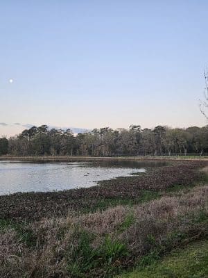 Mohawk Dog Park - Savannah, GA