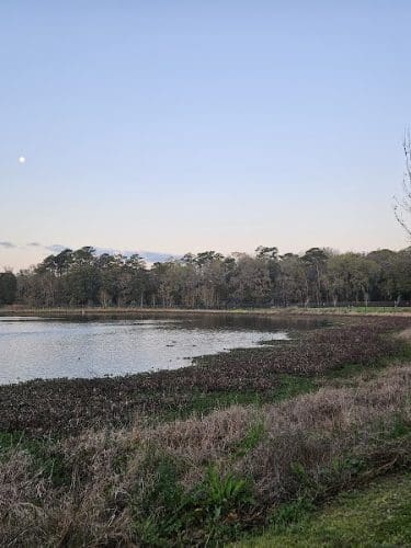 Mohawk Dog Park - Savannah, GA