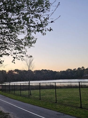 Mohawk Dog Park - Savannah, GA