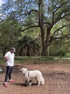 Windsor Forest Dog Park